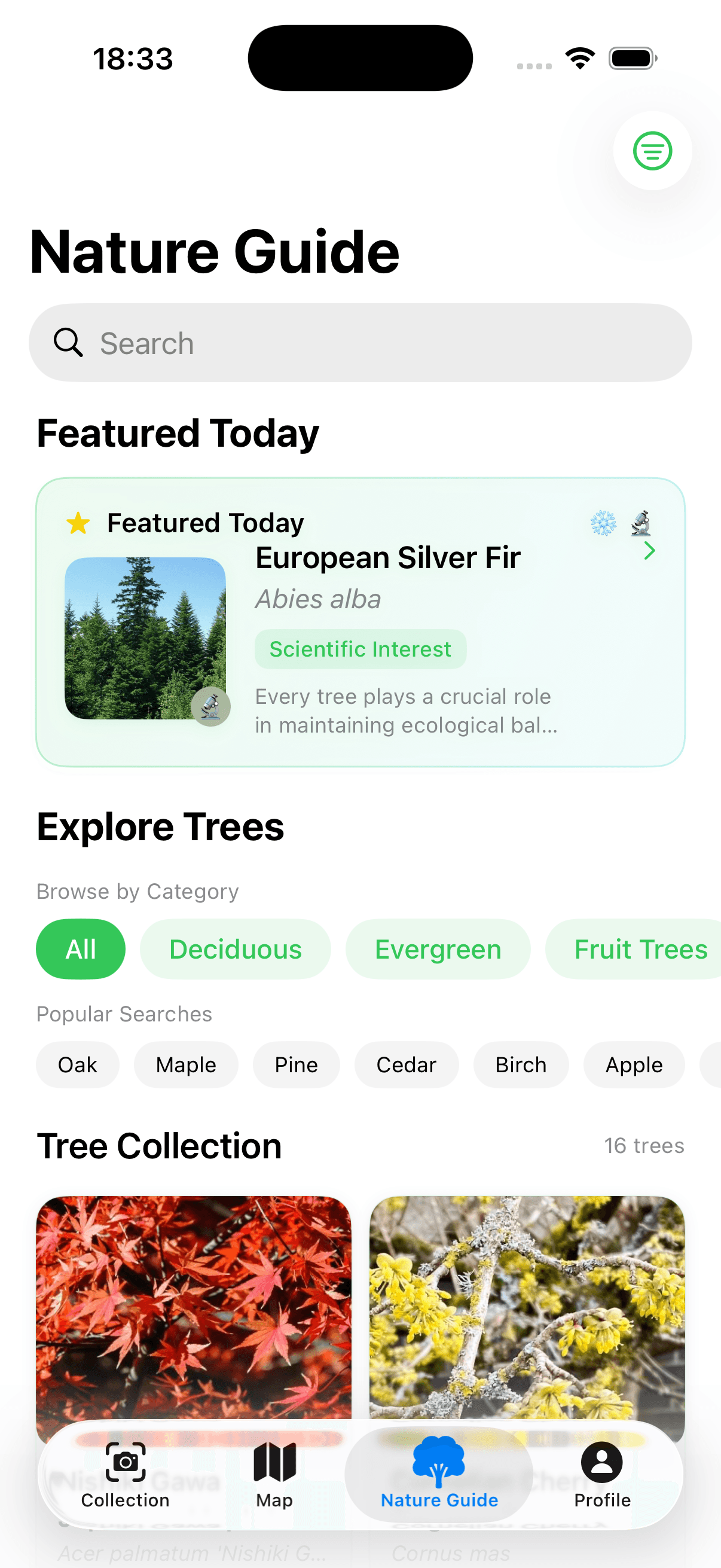 TreeBarkID Screenshot 4